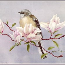 Схема вышивки «№451146»