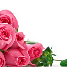 Схема вышивки «розы алые»