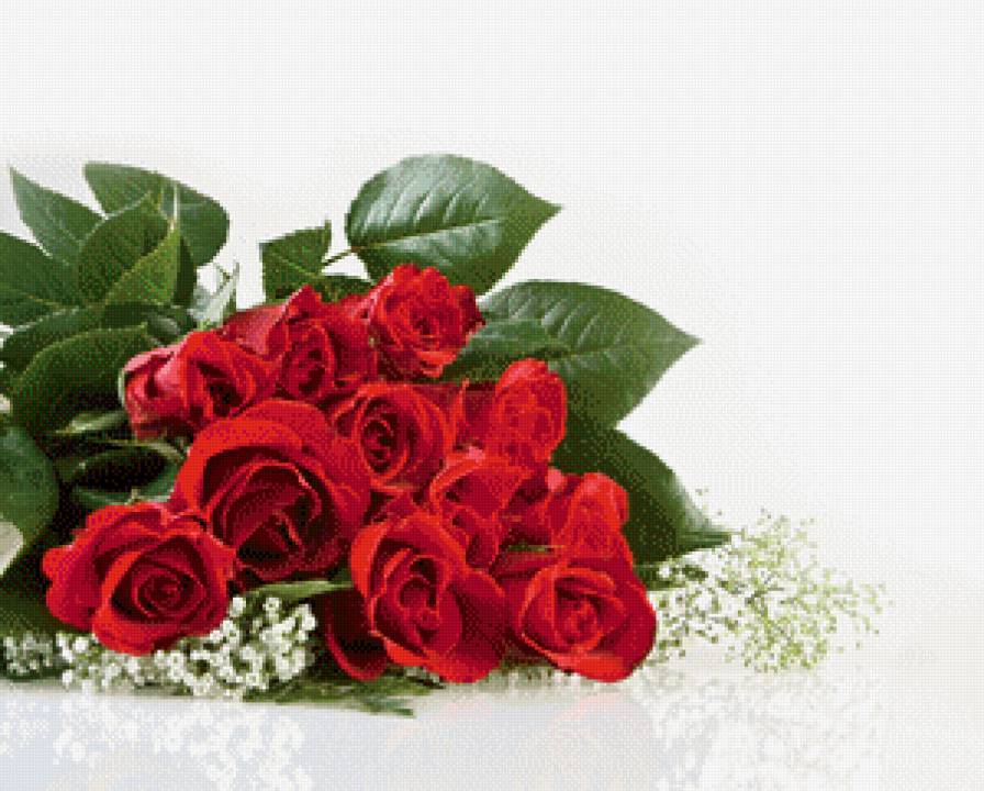 розы красные - предпросмотр