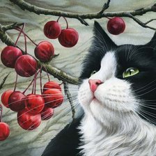 Схема вышивки «Кошка»