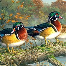 Схема вышивки «Уточки»