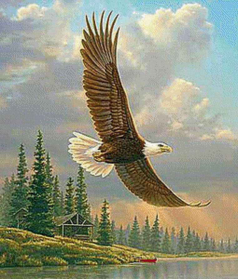 Орлиный полет - птицы, пейзаж, орел - предпросмотр