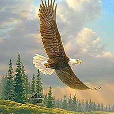 Схема вышивки «Орлиный полет»