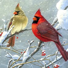 Схема вышивки «Кардиналы»