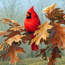 Схема вышивки «Красный кардинал»