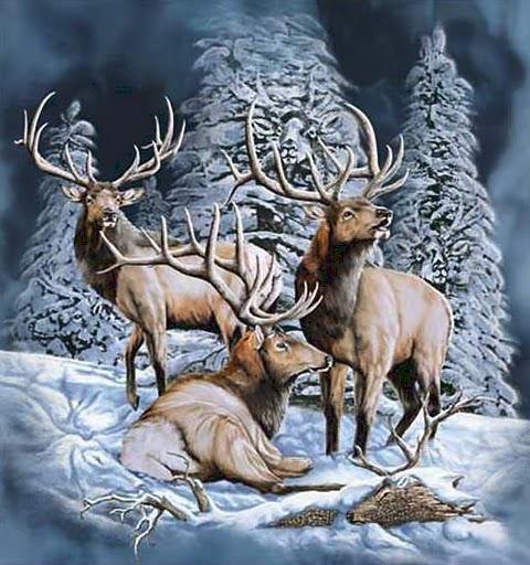 №451283 - оригинал