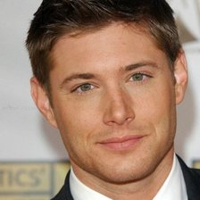 Схема вышивки «дженсен»