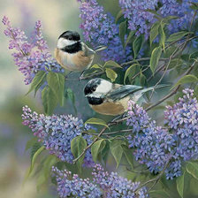 Схема вышивки «Синички»