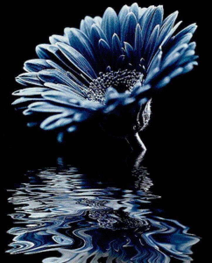 цветок - цветок - предпросмотр