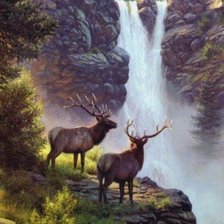 Схема вышивки «№451480»