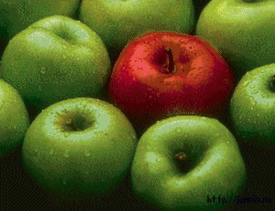 №451493 - фрукты - предпросмотр