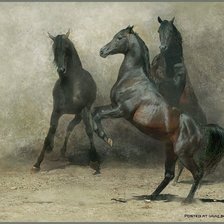 Схема вышивки «лошади»