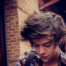 Схема вышивки «Ларри»