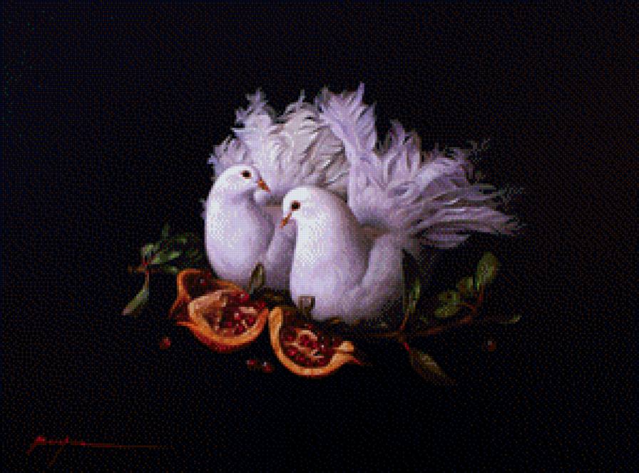 Голуби - птицы - предпросмотр