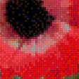 Предпросмотр схемы вышивки «маки» (№451737)