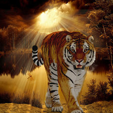 Схема вышивки «тигр»