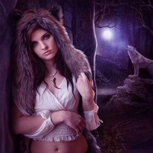 Схема вышивки «волчица»