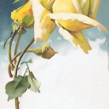 Схема вышивки «роза»