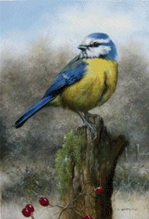 птичка - предпросмотр