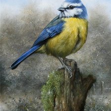 Схема вышивки «птичка»