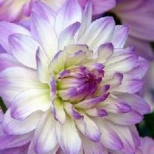 Схема вышивки «№451976»