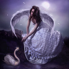 Схема вышивки «принцесса-лебедь»