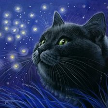 Схема вышивки «Кошка»