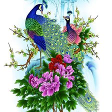 Схема вышивки «Павлины»