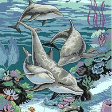 дельфины