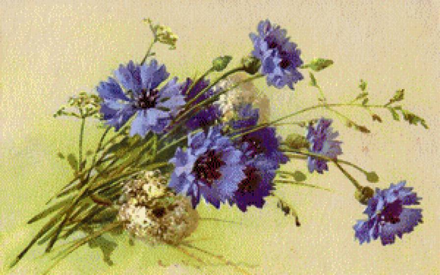 Васильки - васильки, цветы - предпросмотр