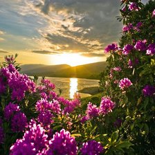 Схема вышивки «Южное лето.Закат.»