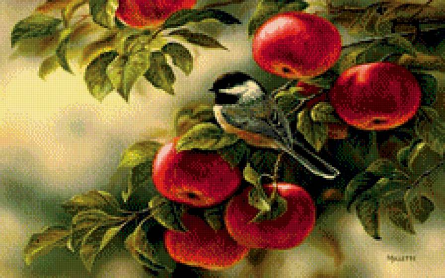 Синичка в яблочках - яблоки, лето, синичка, птица - предпросмотр