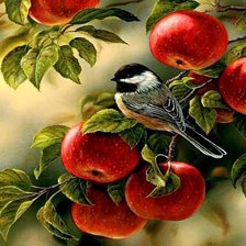 Схема вышивки «Синичка в яблочках»