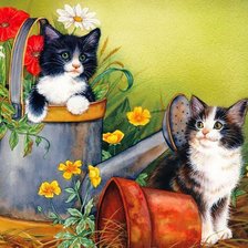 Котята с лейкой