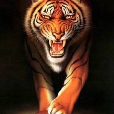 Схема вышивки «Тигр»