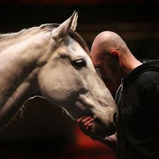 Схема вышивки «Конь»