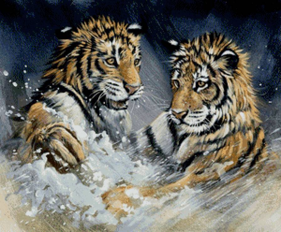 водные игры - вода, хищник, пара, тигр, друзья, тигренок, живопись - предпросмотр