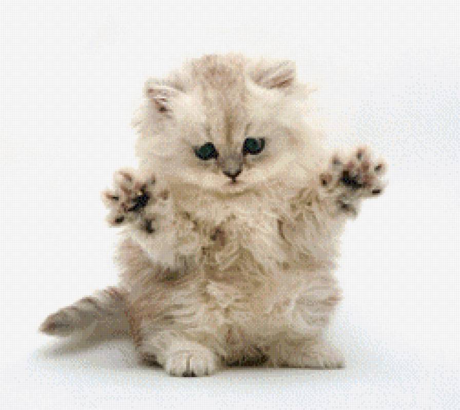 Котенок - кошки, котята, животные - предпросмотр