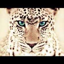 Схема вышивки «№452719»