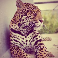 Схема вышивки «№452724»