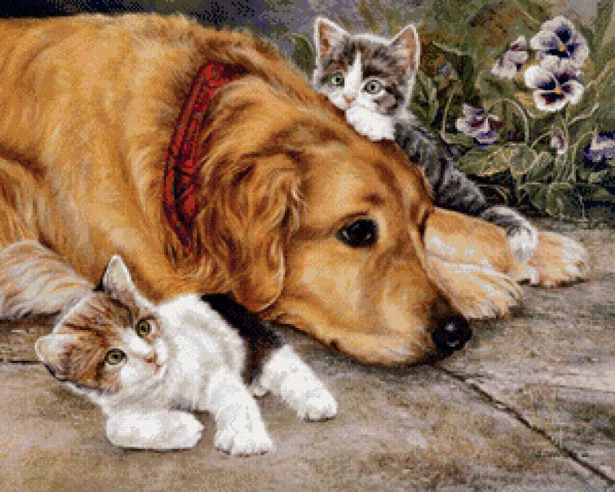 отдых - любовь - предпросмотр