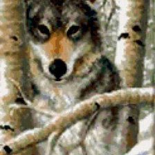 Схема вышивки «Волк»