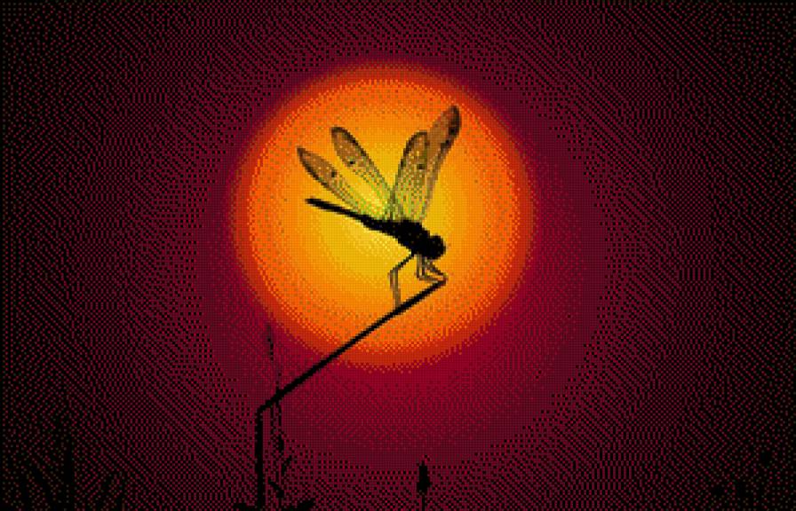 серия "закат" - закат.инсекты - предпросмотр