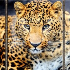 Схема вышивки «триптих»