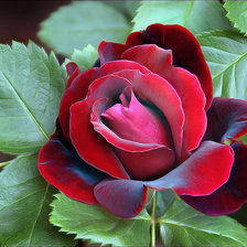 Схема вышивки «№453211»