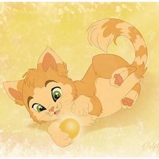 Игривый котик