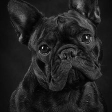 Схема вышивки «№453566»