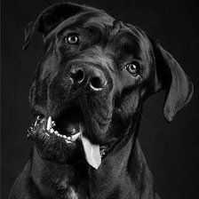 Схема вышивки «№453572»