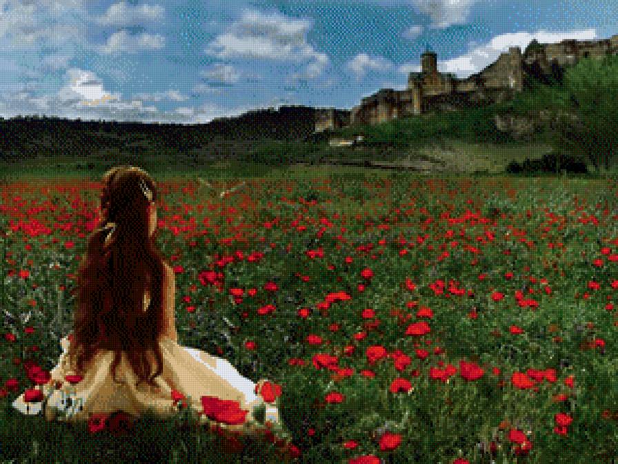 мечта - маки, девочка - предпросмотр