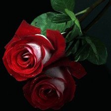 Схема вышивки «№453881»